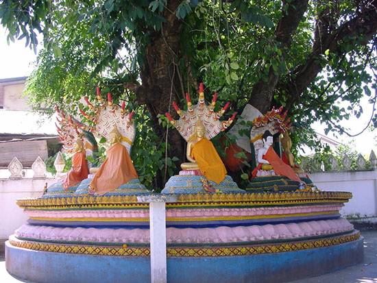沙羅双樹の下の仏像