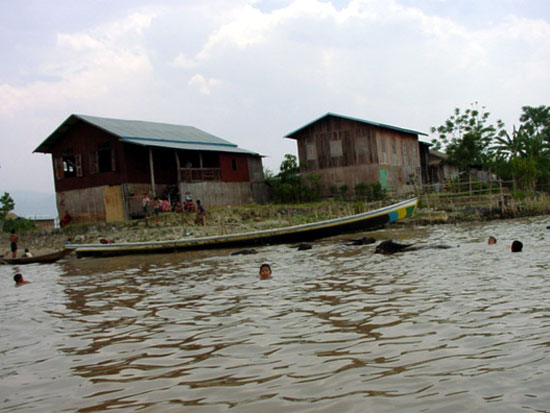 運河で遊ぶ水牛と子供