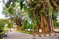 ジョグジャカルタ