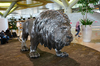 ジョグジャカルタ